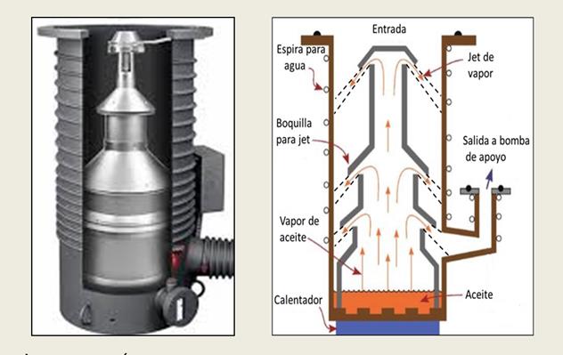 TECNOLOGÍA DE VACÍO PARA EL LABORATORIO DE MICROSCOPÍA ELECTRÓNICA