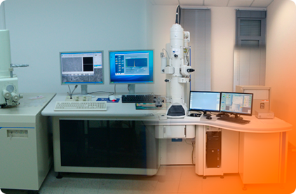 MICROSCOPÍA ELECTRÓNICA PARA PRINCIPIANTES