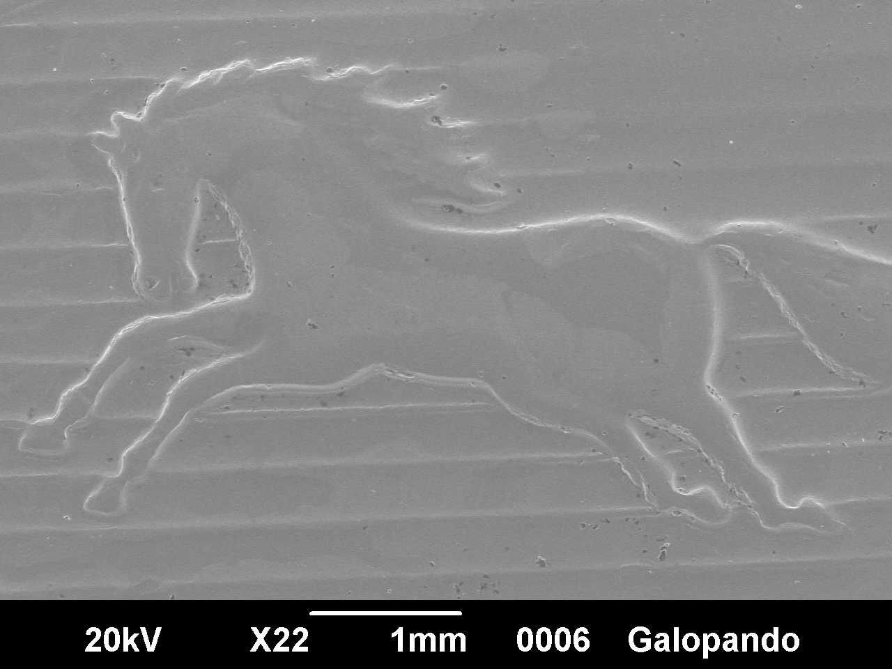 TALLER DE MICROSCOPÍA REMOTA APLICADA A MATERIALES INDUSTRIALES 11 DE DICIEMBRE  9AM A 1:00PM