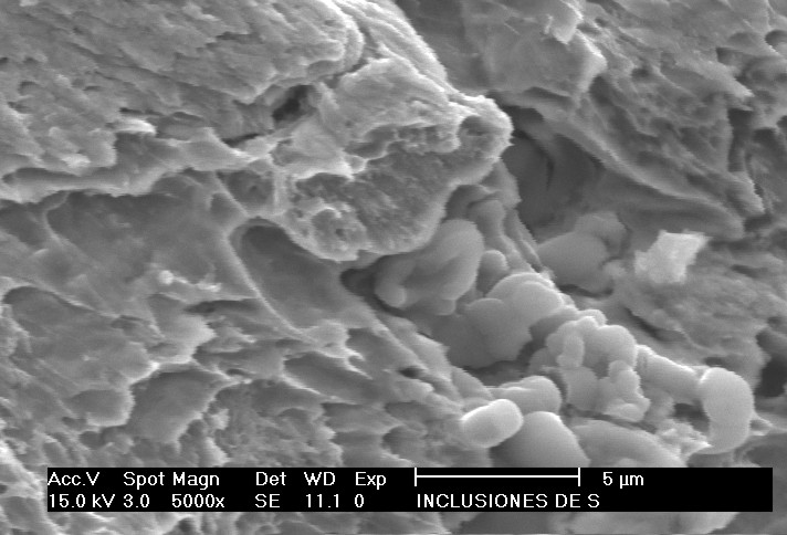 MICROSCOPIA  Y MICROANALISIS ELEMENTAL EN ANALISIS DE FALLAS DE MATERIALES DE INGENIERIA FECHA 24 DE ENERO 2024 HORARIO 06:00PM A 07:30PM