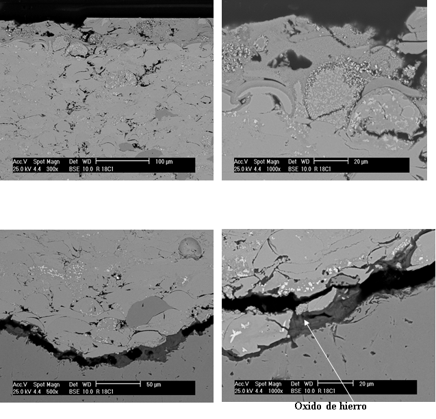 APLICACIONES DE LA MICROSCOPÍA ELECTRÓNICA AL ESTUDIO DE LOS FENÓMENOS DE CORROSIÓN Y DESGASTE 14 DE FEBRERO HORARIO 10:00AM A 12:00M